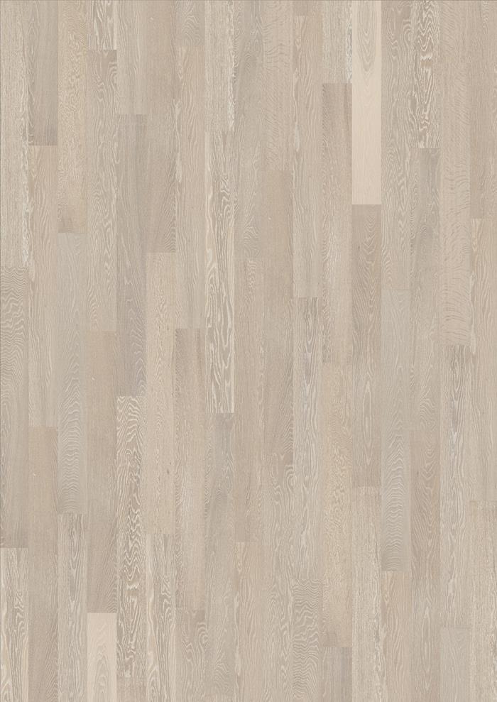 Oak Arctic
