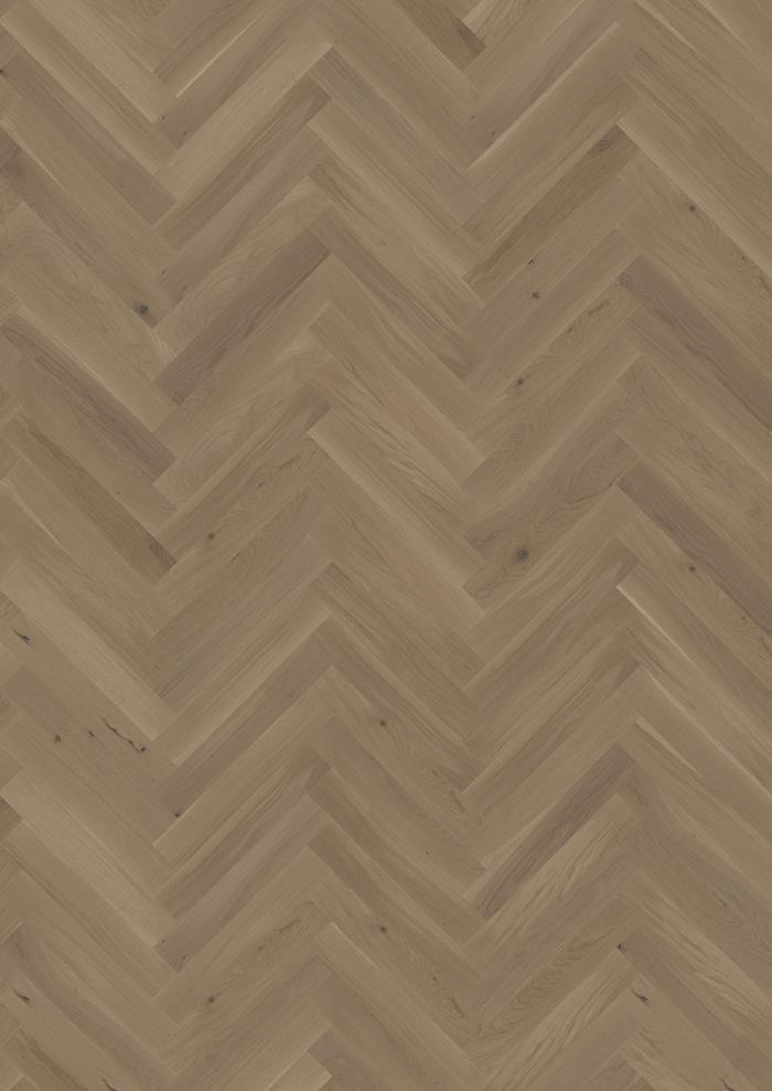Oak Studio CC Grey