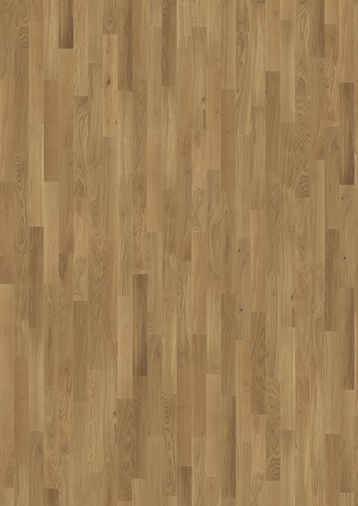 Oak Studio CD Oiled