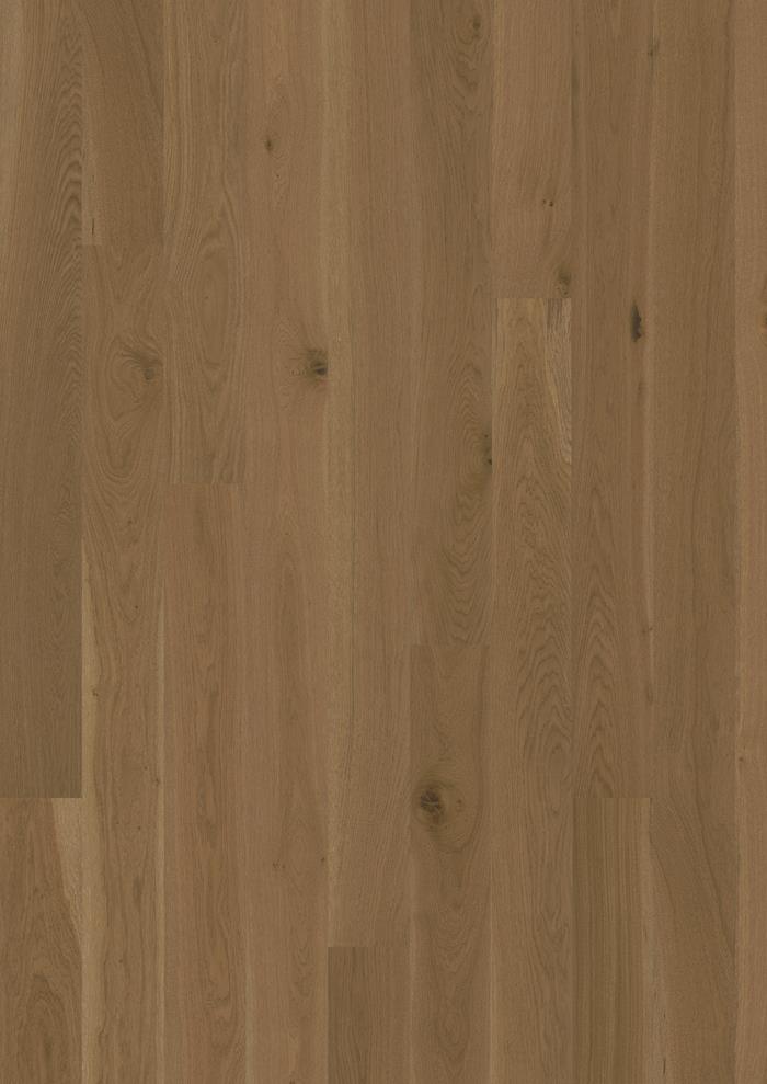 Oak Latte