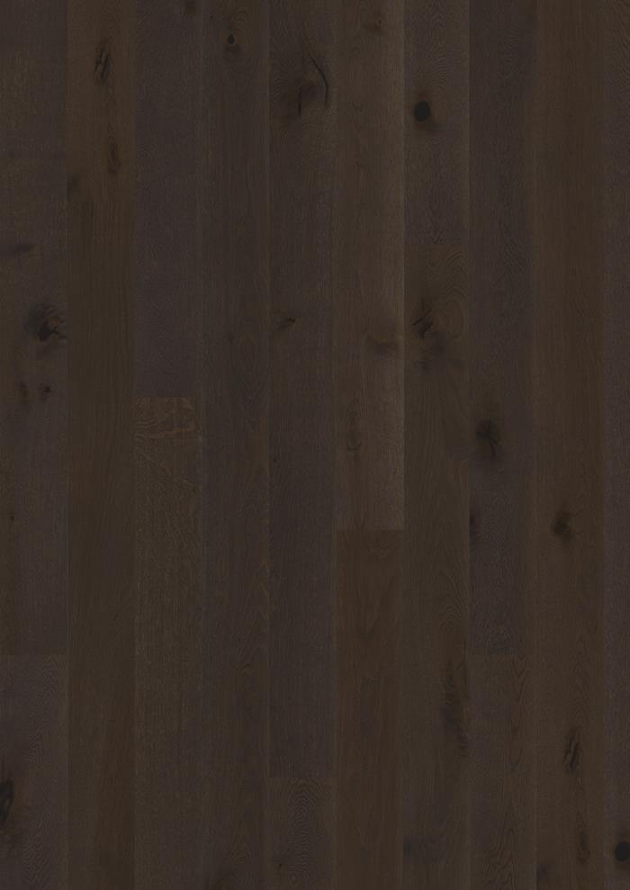 Oak Russet