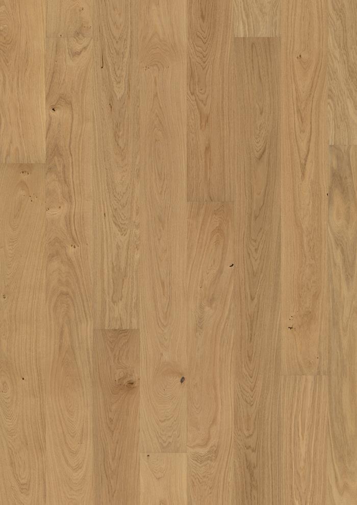 Oak Dahlia Matt