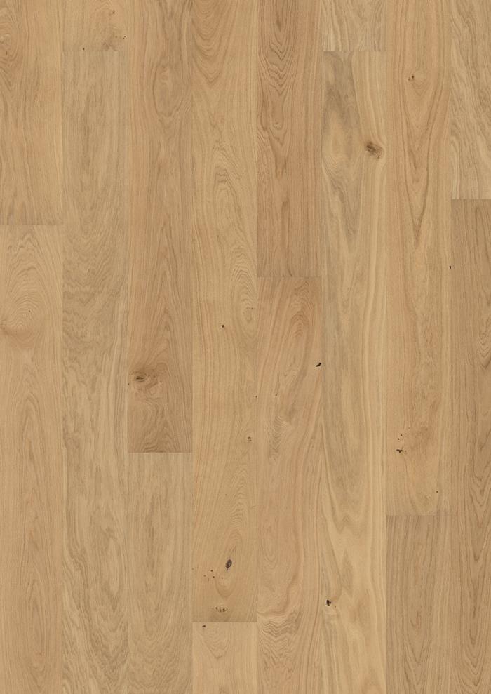 Oak Buttercup 200