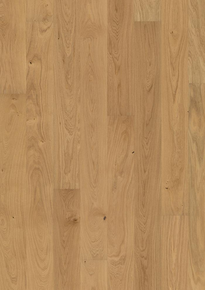 Oak Dahlia Oiled