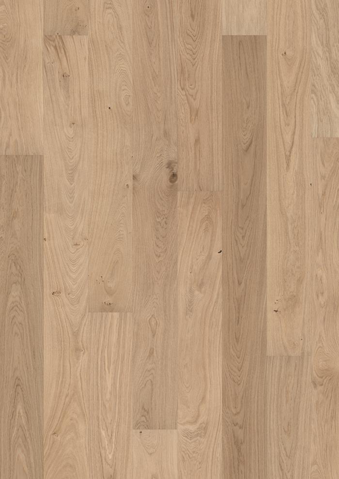 Oak Marguerite