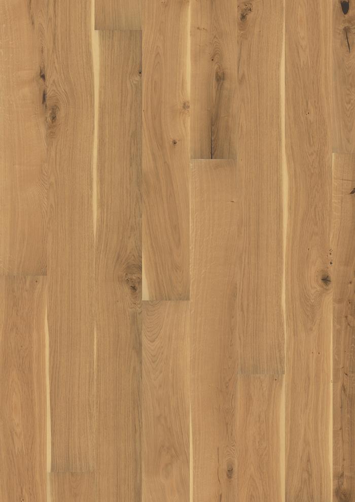 Oak Lavender