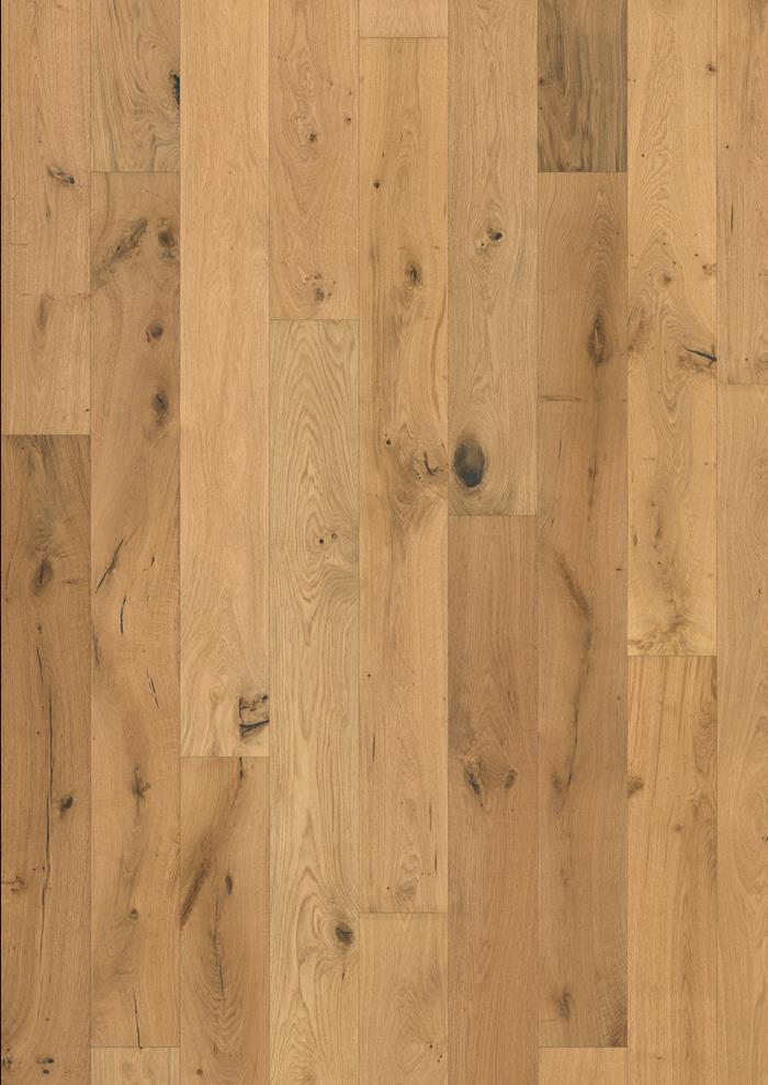 Oak Lynx Oiled