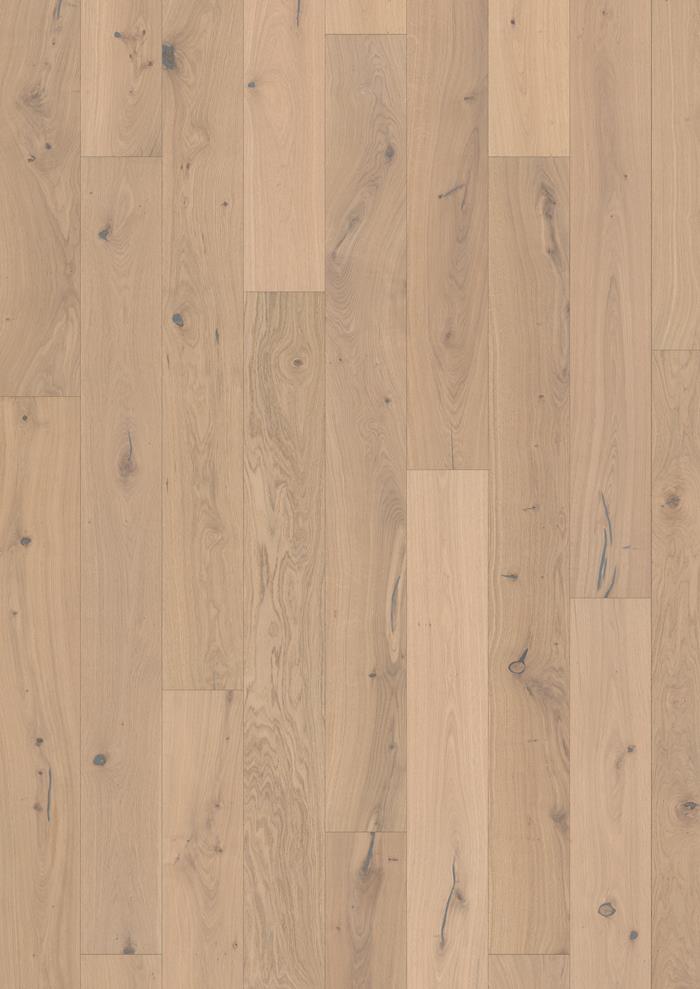 Oak Larus