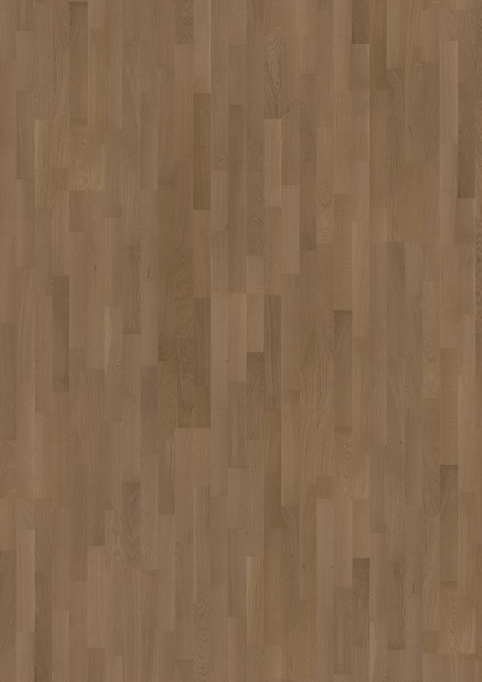 Oak Seed