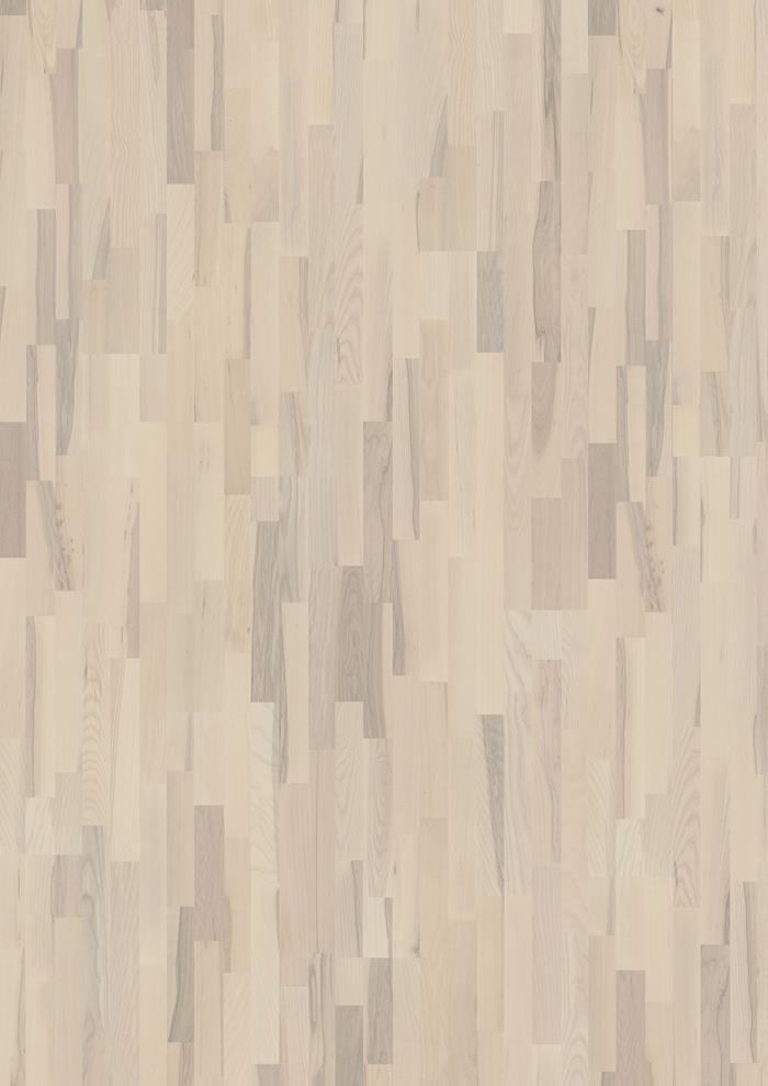 Ash Coral