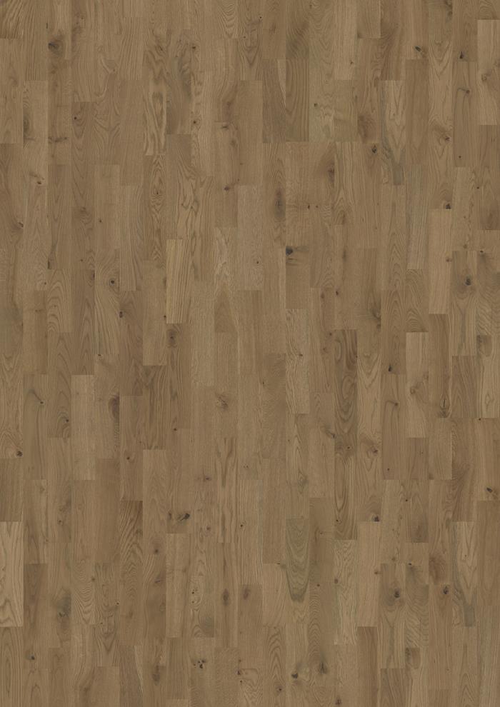 Oak Ore