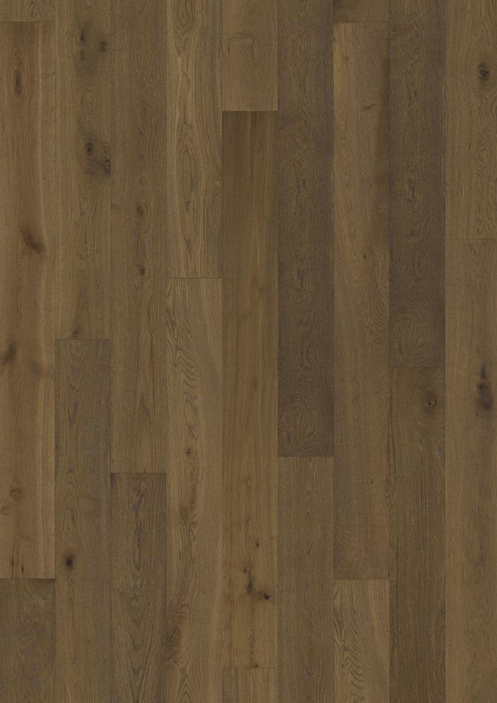 Oak Joy