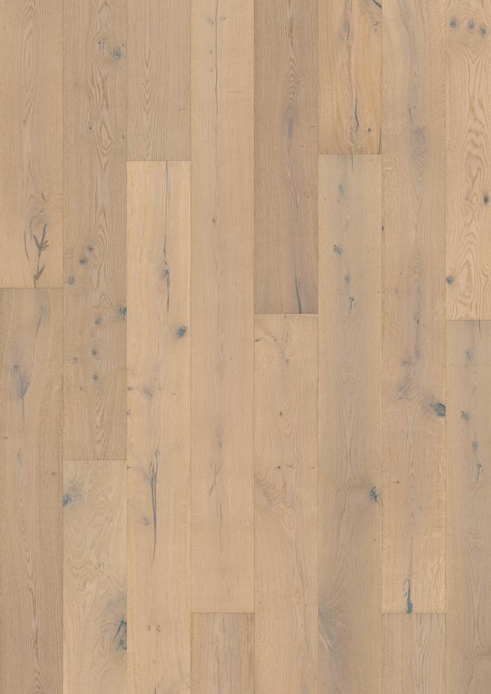 Oak Mistral