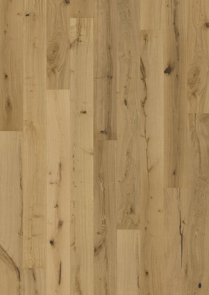 Oak Texture Natur