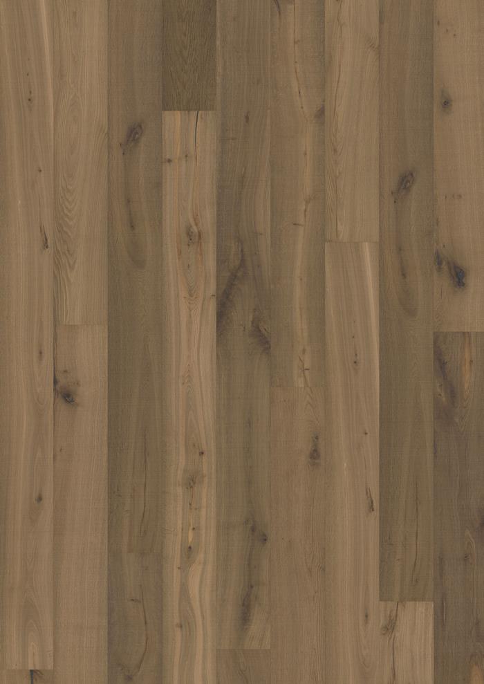 Oak Texture Grau