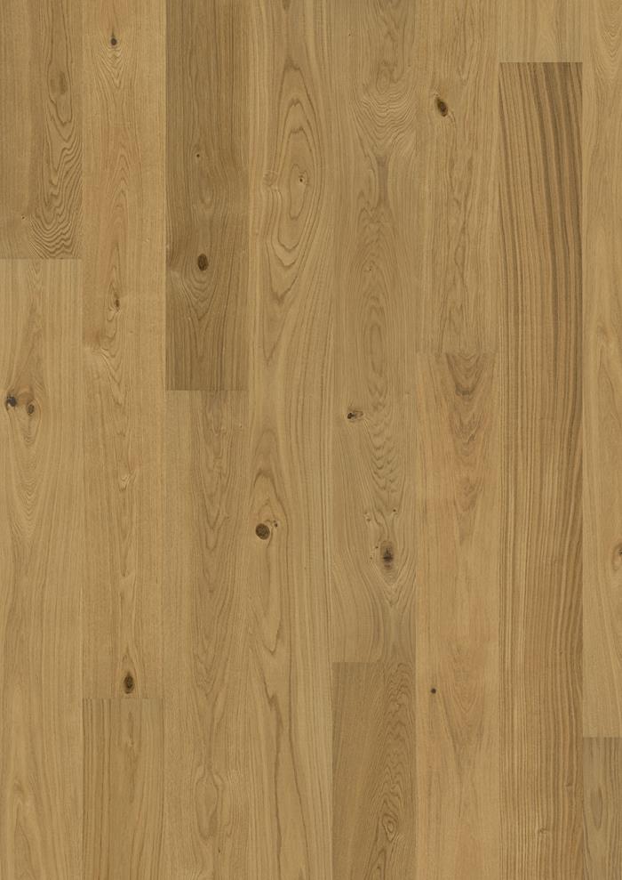 Oak Cornwall 226