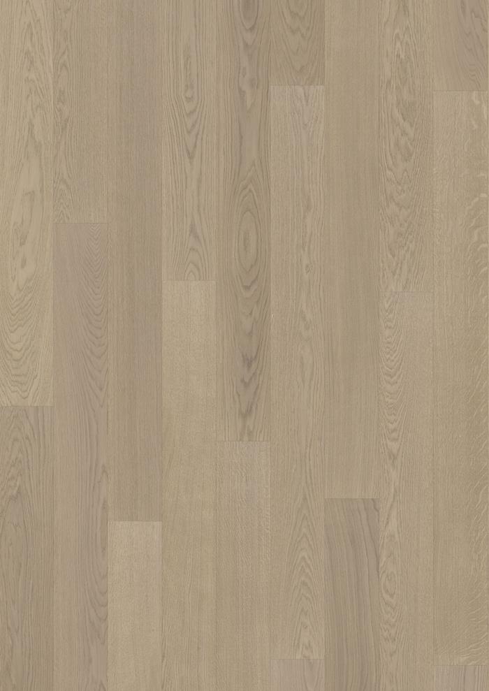 Oak Prague 242