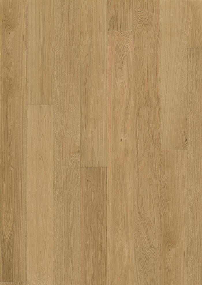 Oak Dublin Oiled
