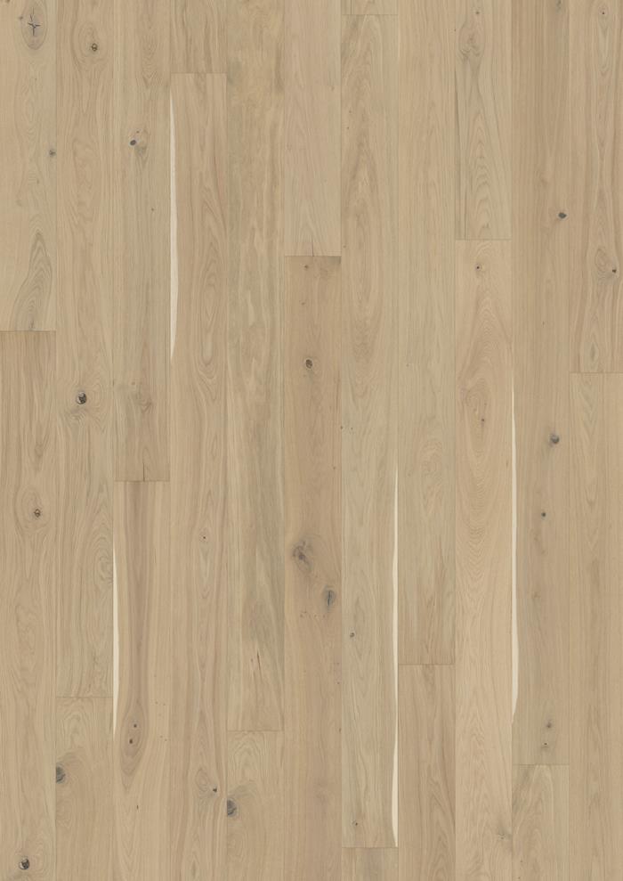 Oak Eggshell 200