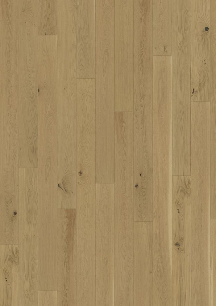 Oak Biscotti 200