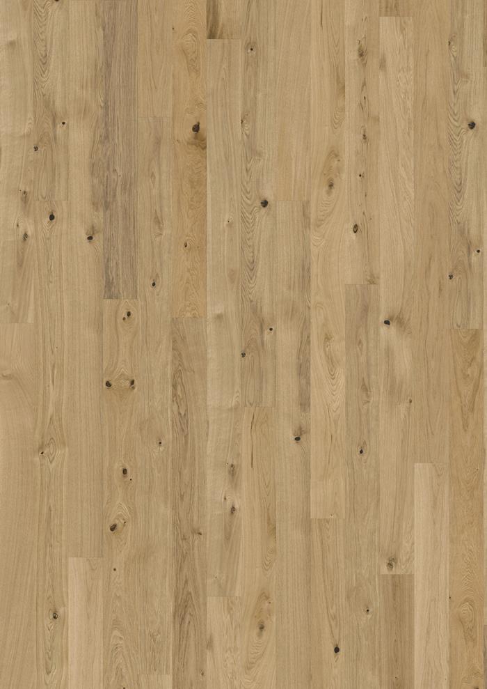 Oak Pure 200