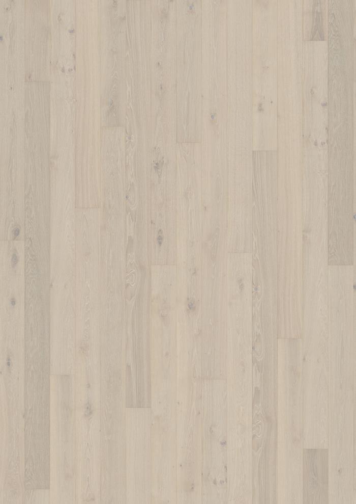 Oak Crisp