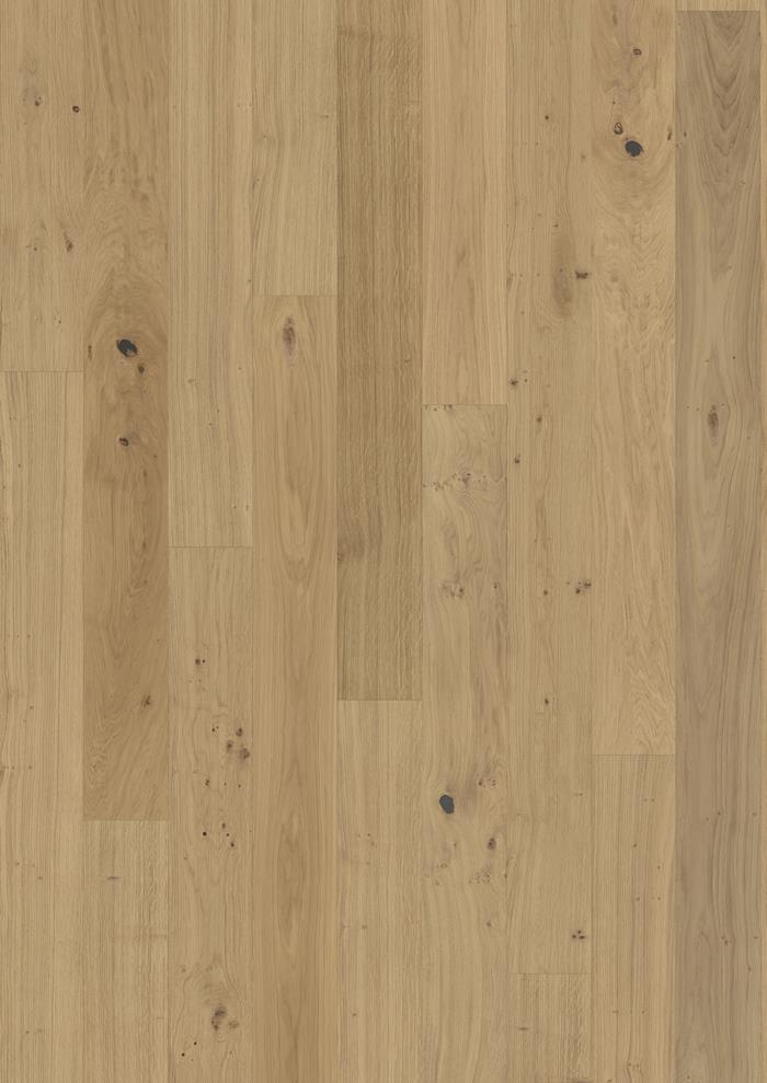 Oak Rügen