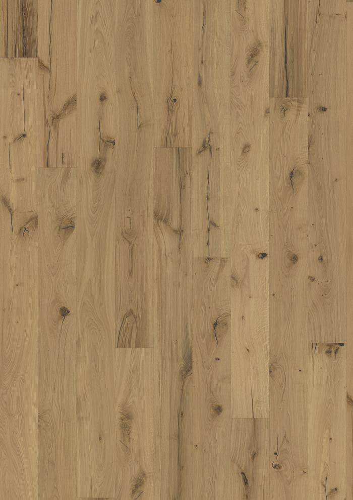 Oak Pallido
