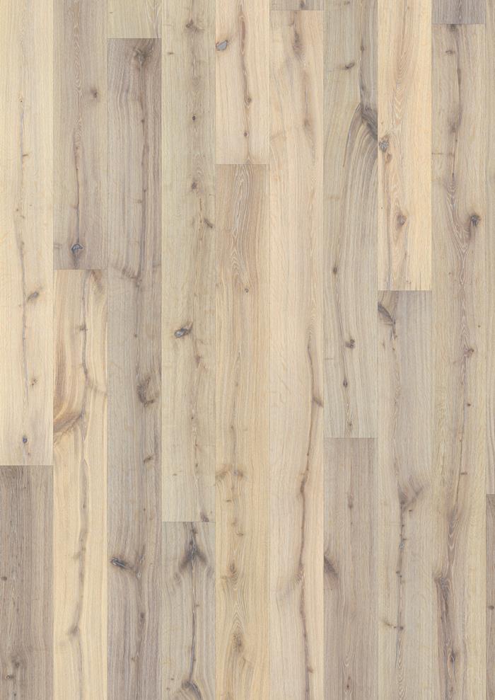 Oak Luce