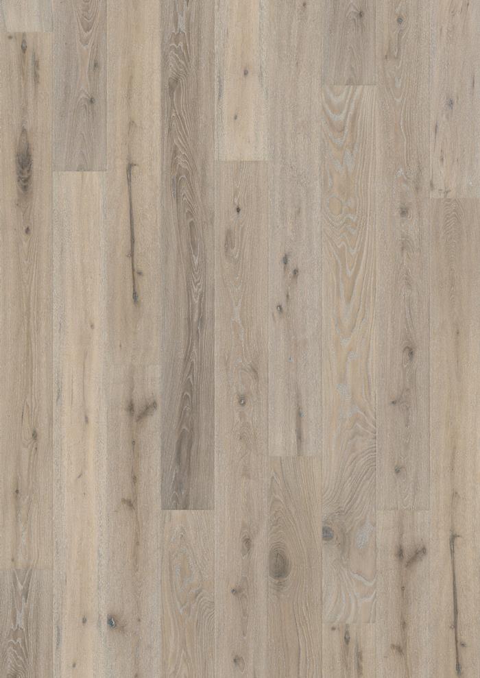 Oak Oyster