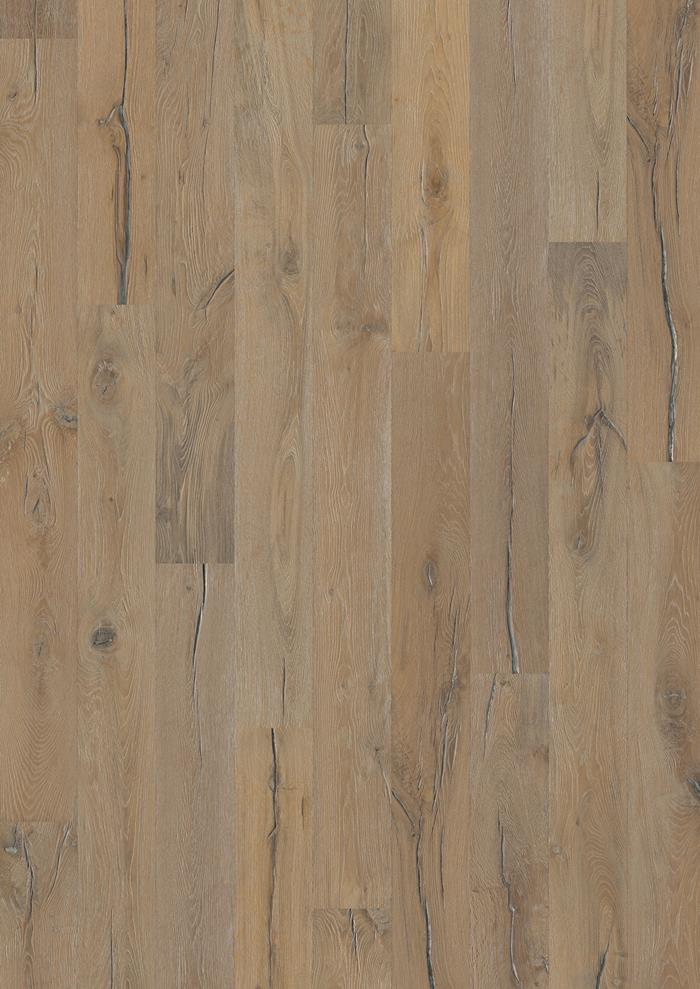 Oak Indossati