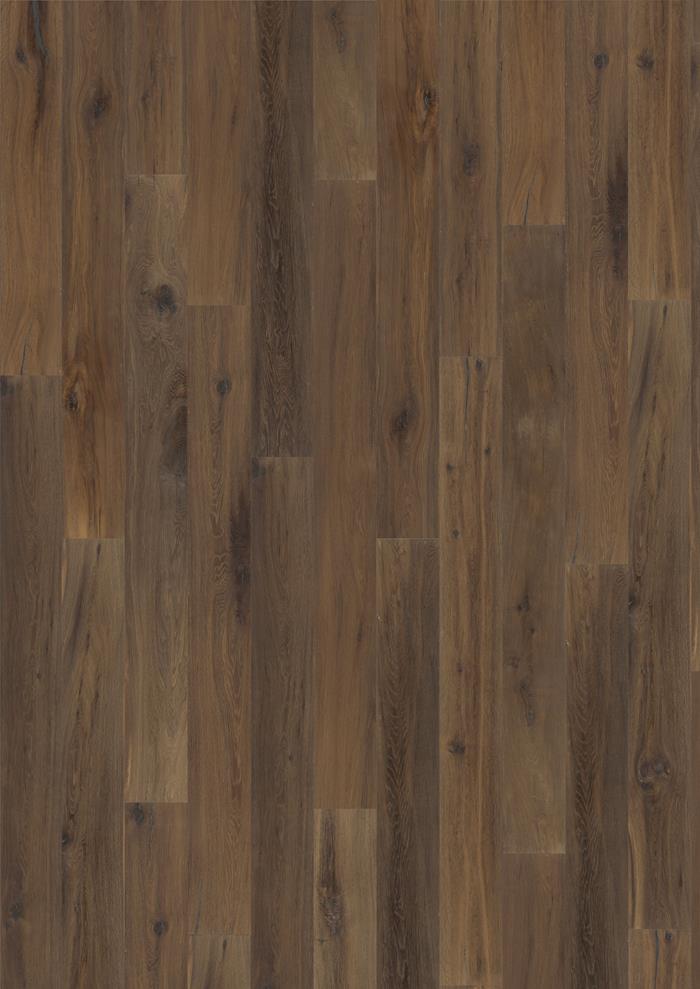 Oak Earth