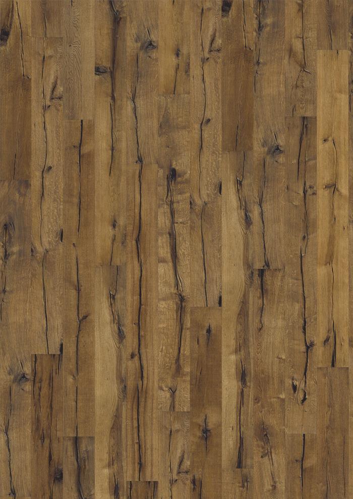 Oak Maggiore