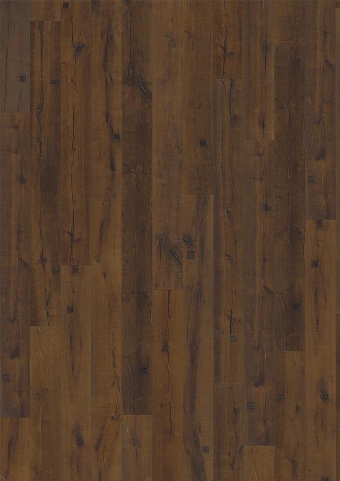 Oak Sparuto