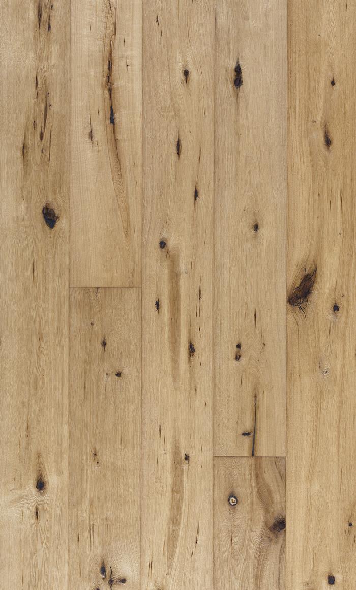 Oak Camino