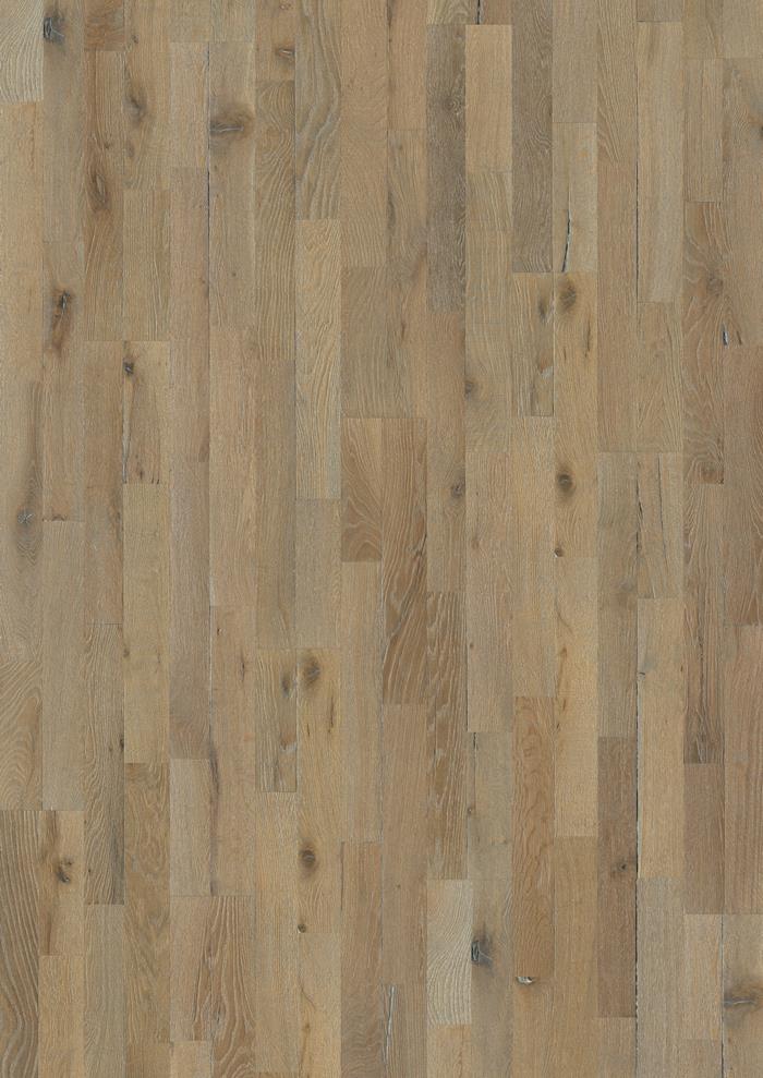 Oak Dussato