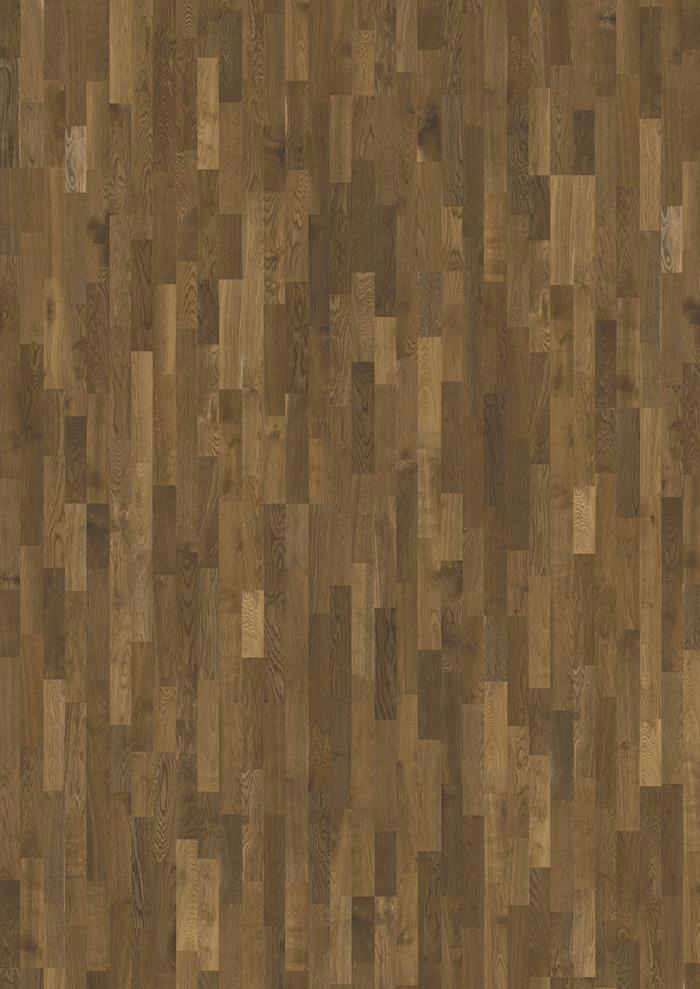 Oak Dusk