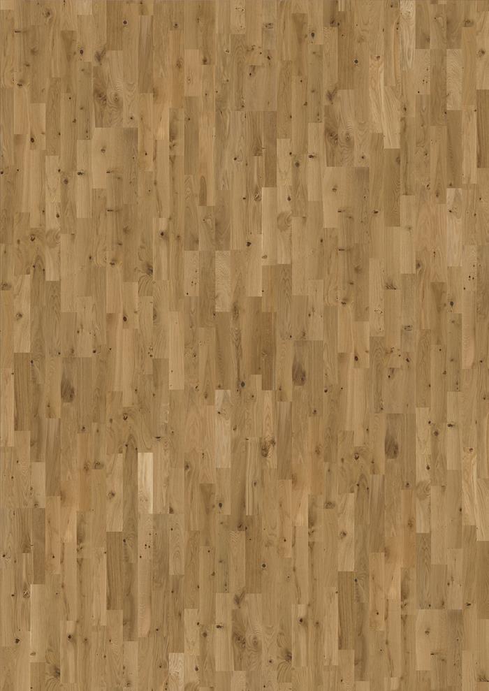 Oak Ardenne