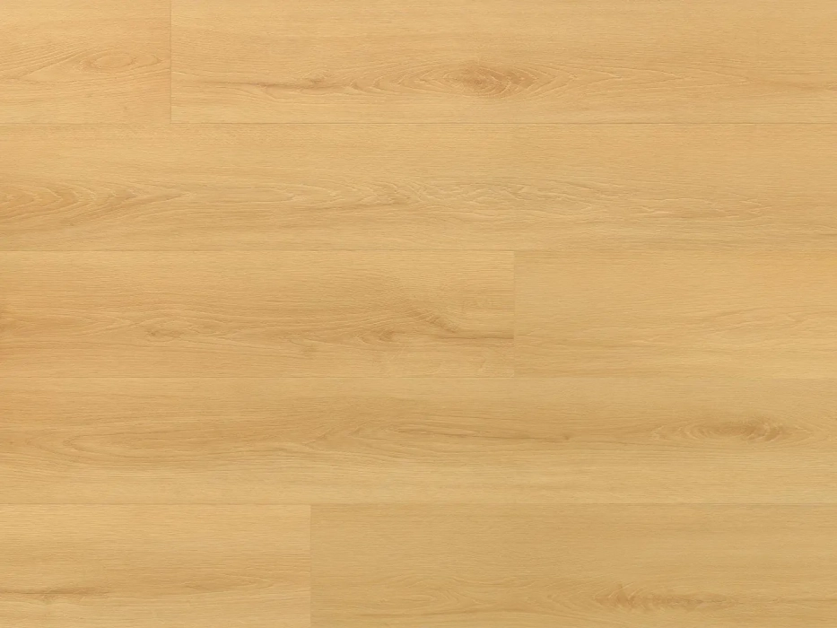 Arbiton Amaron Wood EIR Dąb Virgin