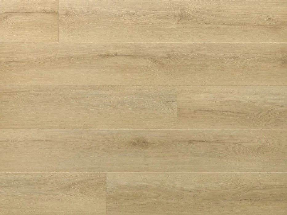 Arbiton Amaron Wood EIR Dąb Princeton
