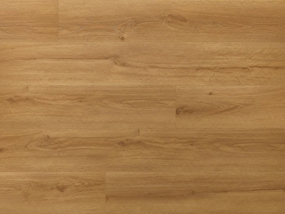 Arbiton Amaron Wood EIR Acoustic Dąb Cornel