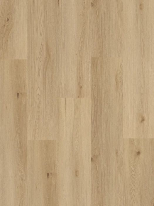 Arbiton Amaron Wood Dąb Yankee