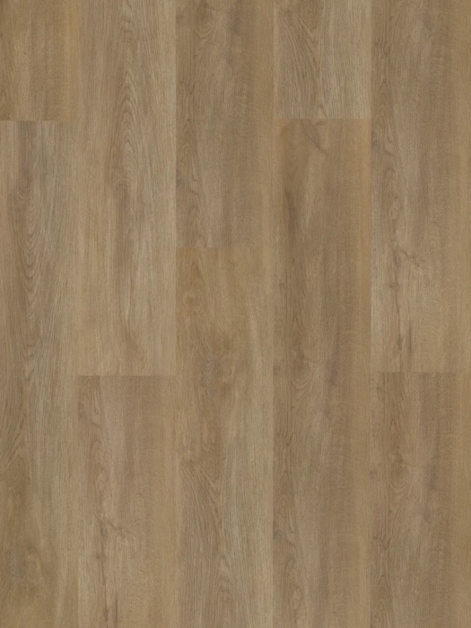 Arbiton Amaron Wood Acoustic Dąb Sierra