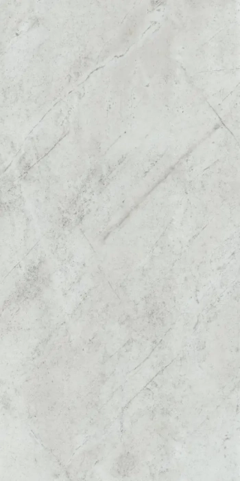 Arbiton Amaron Forma Acoustic Braga Silver