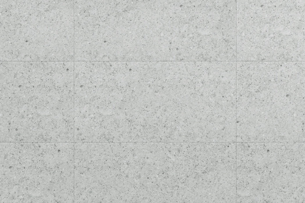 Arbiton Amaron FORMA ACOUSTIC Aveiro Silver