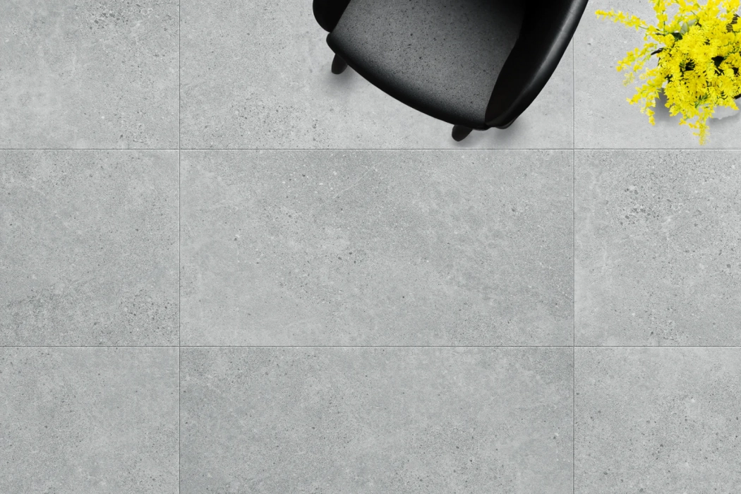 Arbiton Amaron FORMA ACOUSTIC Ninaventura Silver