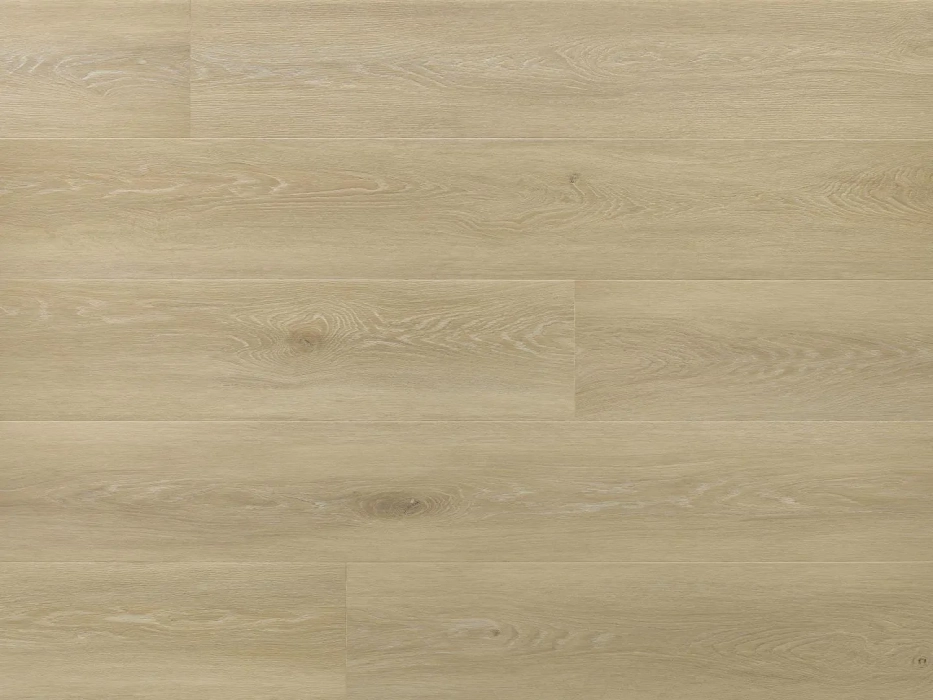 Arbiton Amaron Wood EIR Acoustic Dąb Johannes