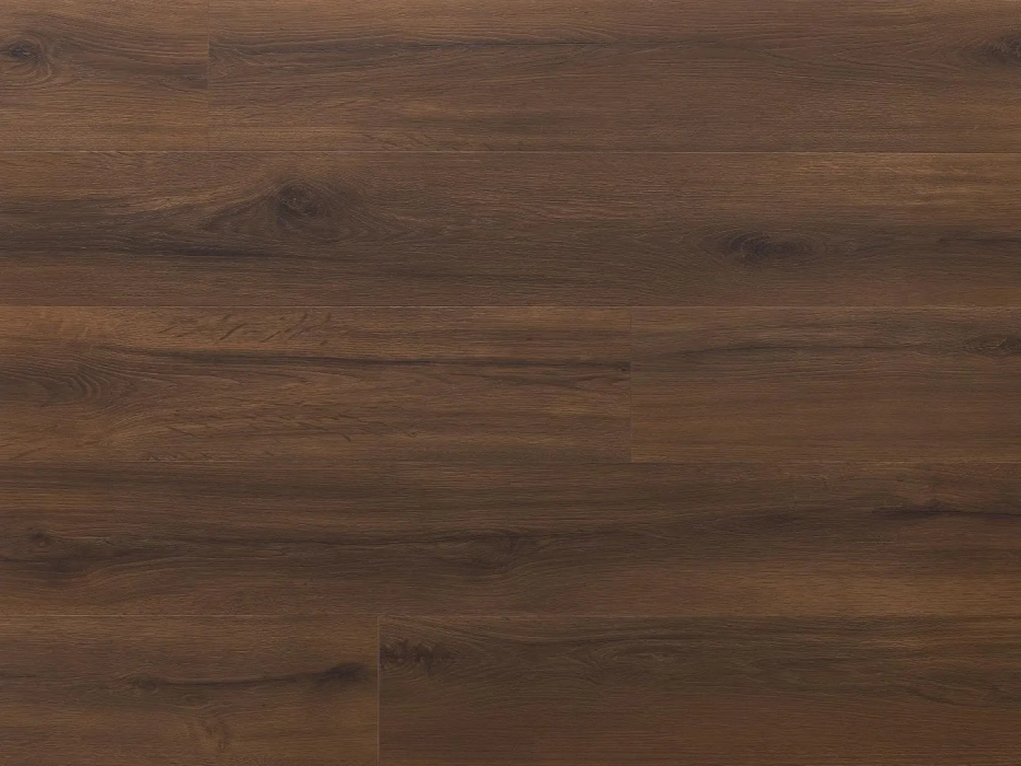 Arbiton Amaron Wood EIR Acoustic Dąb Montana
