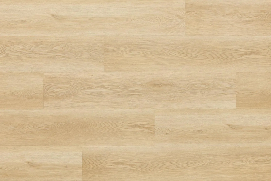 Arbiton Woodric Acoustic Dąb Holman