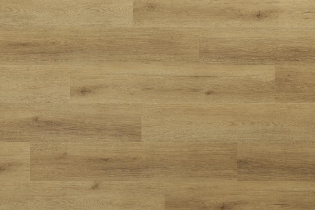 Arbiton WOODRIC ACOUSTIC Dąb Glenmore